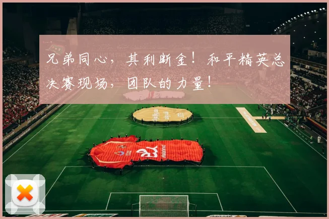 兄弟同心，其利断金！和平精英总决赛现场，团队的力量！