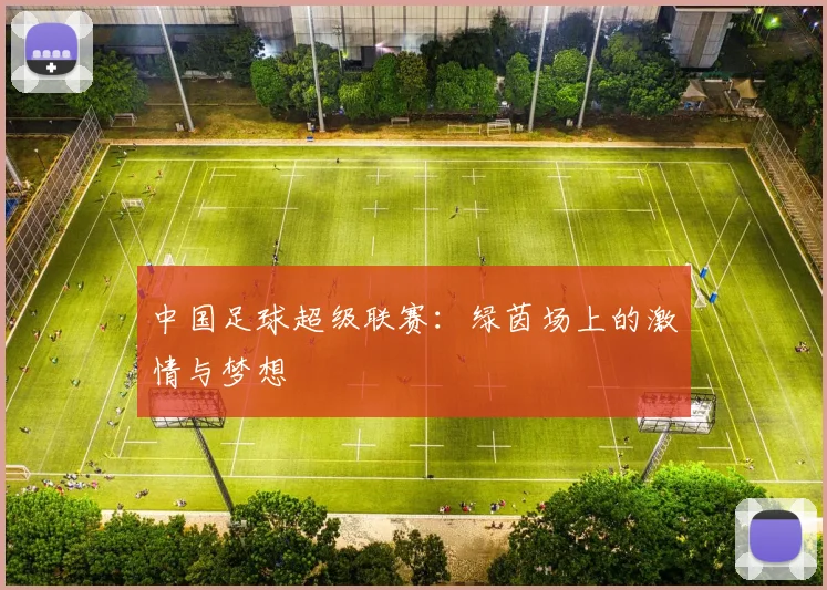 中国足球超级联赛：绿茵场上的激情与梦想